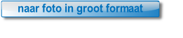 64-65-klas-5-groot.