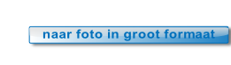 tegelseweg-19b-T2-taxibedrijf-groot.