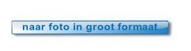 R-86-drukkerij-vangrinsven-groot.